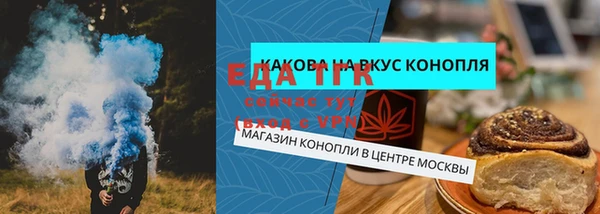 стаф Абаза
