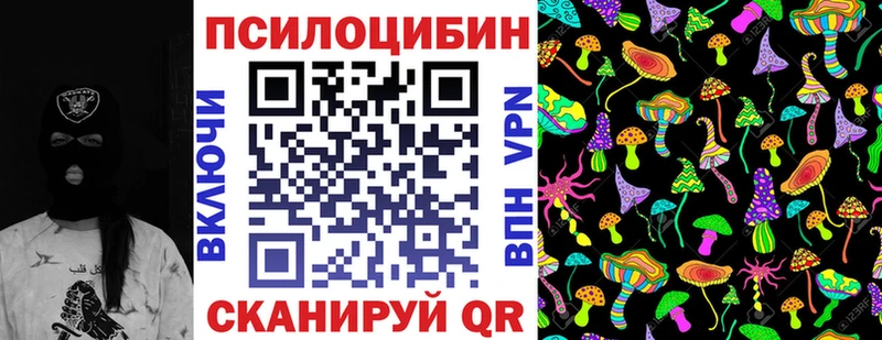 закладка  Сысерть  Псилоцибиновые грибы MAGIC MUSHROOMS 